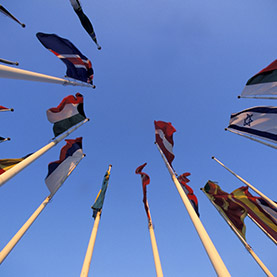 杏彩体育·(中国游)官方网站